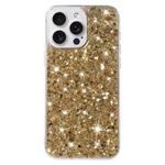 For iPhone 15 Pro Max Transparent Frame Glitter Powder TPU Phone Case(Gold)