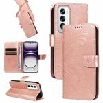 For OPPO Reno12 5G Global Swallowtail Butterfly Embossed Leather Phone Case(Rose Gold)