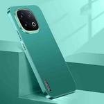 For vivo iQOO 13 Streamer Series Micro Frosted Metal Paint PC Phone Case(Alpine Green)