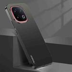For vivo iQOO 13 Streamer Series Micro Frosted Metal Paint PC Phone Case(Black)