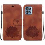 For Motorola Edge 40 Pro Lotus Embossed Leather Phone Case(Brown)