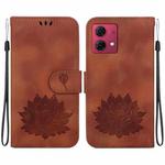 For Motorola Moto G84 Lotus Embossed Leather Phone Case(Brown)