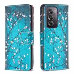 For OPPO Reno12 Pro Global Colored Drawing Pattern Leather Phone Case(Plum Blossom)