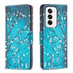 For OPPO Reno12 Global Colored Drawing Pattern Leather Phone Case(Plum Blossom)