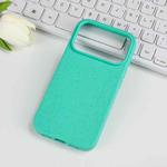 For iPhone 17 Pro Wheat Straw TPU Phone Case(Green)