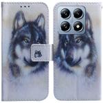 For Xiaomi 14T Coloured Drawing Flip Leather Phone Case(White Wolf)