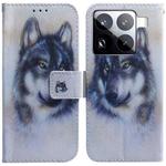 For Xiaomi 15 Pro Coloured Drawing Flip Leather Phone Case(White Wolf)