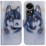 For Huawei nova 12 Coloured Drawing Flip Leather Phone Case(White Wolf)