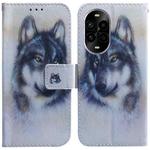 For Huawei nova 13 Pro Coloured Drawing Flip Leather Phone Case(White Wolf)