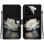 For Xiaomi 15 Crystal Texture Colored Drawing Leather Phone Case(Crystal Peony)