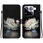 For Xiaomi 15 Pro Crystal Texture Colored Drawing Leather Phone Case(Crystal Peony)