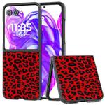 For Motorola Razr 50 Ultra Black Edge Leopard Phone Case(Red Leopard)