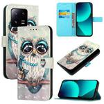 For Xiaomi 13 Pro 3D Painting Horizontal Flip Leather Phone Case(Grey Owl)