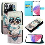 For Xiaomi 15S Pro 3D Painting Horizontal Flip Leather Phone Case(Grey Owl)