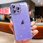 For iPhone 14 Pro Glitter Powder TPU Phone Case(Transparent Purple)