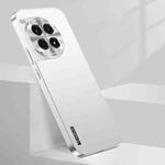 For OnePlus Ace 3 Pro Streamer Series Micro Frosted Metal Paint PC Phone Case(Silver)