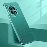 For OnePlus Ace 3 Pro Streamer Series Micro Frosted Metal Paint PC Phone Case(Alpine Green)