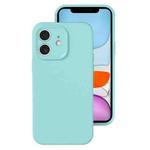 For iPhone 11 Precise Hole Liquid Silicone Jelly Color Full Coverage Phone Case(Glacier Blue)