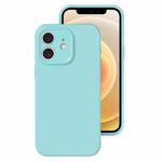 For iPhone 12 Precise Hole Liquid Silicone Jelly Color Full Coverage Phone Case(Glacier Blue)