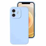 For iPhone 12 Precise Hole Liquid Silicone Jelly Color Full Coverage Phone Case(Sky Blue)