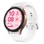 For Samsung Galaxy Watch FE 40mm Glacier Clear Two Color Silicone Watch Band(White)