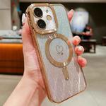 For iPhone 11 Loves Leaves Gradient Glitter Carbon Fiber Magsafe TPU Phone Case(Gold)