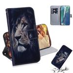 For Samsung Galaxy Note 20 Coloured Drawing Horizontal Flip Leather Case, with Holder & Card Slots & Wallet(Lion)