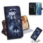 For Samsung Galaxy Note 20 Coloured Drawing Horizontal Flip Leather Case, with Holder & Card Slots & Wallet(Wolf and Dog)