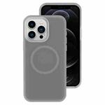 For iPhone 12 Pro Jelly Liquid Silicone MagSafe Magnetic Phone Case(Grey)