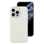 For iPhone 11 Pro Max Jelly Liquid Silicone MagSafe Magnetic Phone Case(White)