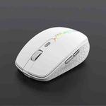 iMICE G904 Dual Mode 6-Key Silent Wireless Gaming Mouse(White)