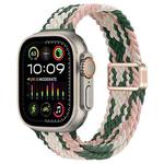 For Apple Watch Ultra 2 49mm Slim Magnetic Buckle Nylon Braided Watch Band(Pink Star Cactus)