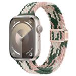 For Apple Watch Series 9 41mm Slim Magnetic Buckle Nylon Braided Watch Band(Pink Star Cactus)