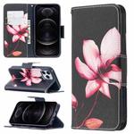 For iPhone 12 / 12 Pro Colored Drawing Pattern Horizontal Flip Leather Case with Holder & Card Slots & Wallet(Lotus)