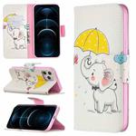For iPhone 12 Pro Max Colored Drawing Pattern Horizontal Flip Leather Case with Holder & Card Slots & Wallet(Elephant)