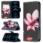 For iPhone 12 Pro Max Colored Drawing Pattern Horizontal Flip Leather Case with Holder & Card Slots & Wallet(Lotus)