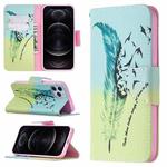 For iPhone 12 / 12 Pro Colored Drawing Pattern Horizontal Flip Leather Case with Holder & Card Slots & Wallet(Feather)