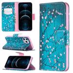 For iPhone 12 Pro Max Colored Drawing Pattern Horizontal Flip Leather Case with Holder & Card Slots & Wallet(Plum Blossom)