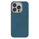 For iPhone 15 Pro Max Skin Feel Fine Leather Texture Metal Lens Frame MagSafe Phone Case(Sky Blue)