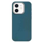 For iPhone 12 Skin Feel Fine Leather Texture Metal Lens Frame MagSafe Phone Case(Sky Blue)