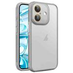 For iPhone 16 Plus Side Cooling Skin Feel Frosted Phone Case(Grey)