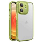 For iPhone 12 Side Cooling Skin Feel Frosted Phone Case(Green)