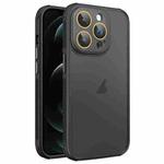 For iPhone 12 Pro Max Side Cooling Skin Feel Frosted Phone Case(Black)