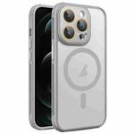 For iPhone 12 Pro Max Side Cooling Skin Feel Frosted MagSafe Magnetic Phone Case(Grey)