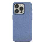 For iPhone 15 Pro Max Skin Feel Leather Texture MagSafe Magnetic Phone Case(Gray Blue)