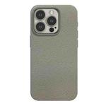 For iPhone 12 Pro Skin Feel Leather Texture MagSafe Magnetic Phone Case(Grey)