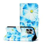 For iPhone 16 Pro Colored Drawing Marble Pattern Leather Phone Case(Blue Flower)