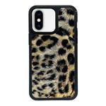 For iPhone X / XS Exclusive Design Style PC Full Coverage Pattern Phone Case(Leopard Pattern C)