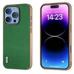 For iPhone 16 Pro ABEEL Genuine Leather Mino Series Nano Plating Phone Case(Green)