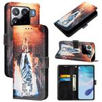 For Xiaomi 15S Pro Colored Drawing Pattern Plain Weave Leather Phone Case(Cats And Tigers)